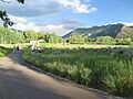 Anderson Park at the Aspen Institute