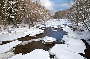 At the eastern end of Matarinkoski, Vantaa, Finland, 2021 February - 2