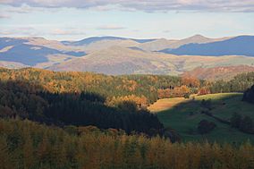 Autumn colours and cloud shadows at Grizedale Forest.jpg