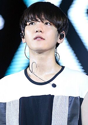 Baekhyun at the EXO The Lost Planet in Jakarta