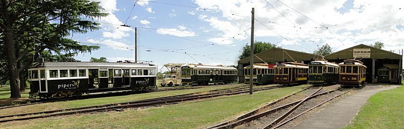 Ballarat trams