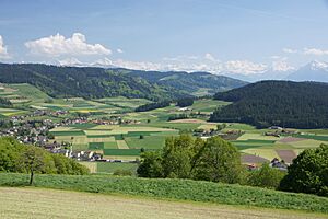 Ballenbüel, Landschaft