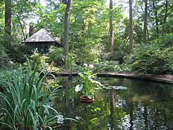 Barnes Foundation, Merion, PA - arboretum pond