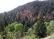 Bear Creek Cañon Park - View across the top of Bear Creek Cañon to Old Gold Camp Road