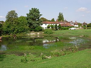 Bradmore Green Pond - Old Coulsdon - Surrey - geograph.org.uk - 234864.jpg