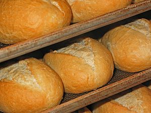 Bread-rolls