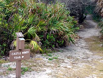 CanaveralNationalSeashore3