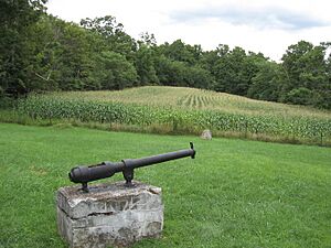 Canon fenians