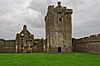 Castles of Connacht, Pallas, Galway - geograph.org.uk - 1543456.jpg