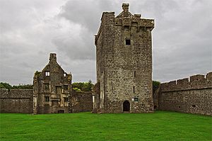 Castles of Connacht, Pallas, Galway - geograph.org.uk - 1543456