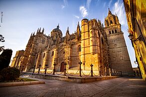 Catedral De Salamanca