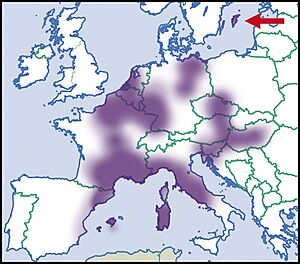 Cernuella-neglecta-map-eur-nm-moll