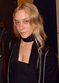 Chloë Sevigny 2017