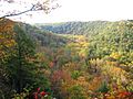Clear Fork Gorge from Mohican State Park Gorge Overlook