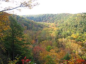 Clear Fork Gorge from Mohican State Park Gorge Overlook