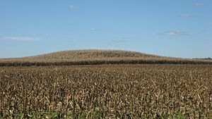 Common Field Archaeological Site platform mound
