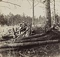 Confederate entrenchments at edge of woods, Palmer's field, on Orange Turnpike (cropped)