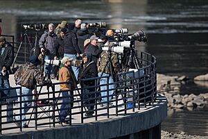 Conowingo dam shooters fishing pier (14106368940)