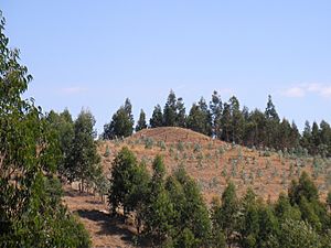 Cuel en el valle de Puren