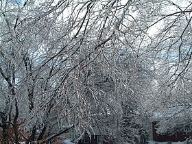 December 2004 Winter Storm 1