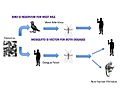 Disease Vector