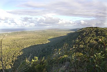 Eighteen Mile Swamp looking south from the Escarpment.jpg