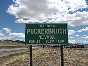 Entering Puckerbrush