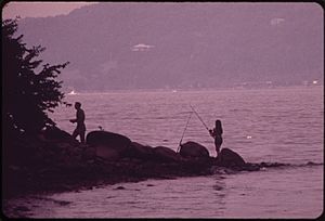 FISHING IN THE HUDSON RIVER FROM CROTON POINT PARK - NARA - 549933