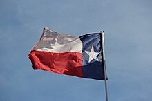 Flag of Texas at Ribfest Bowmanville 2016 (2).jpg