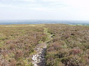 Footpath across Fron-dêg Flat - geograph.org.uk - 208604