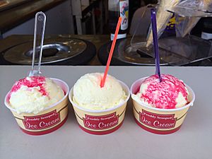 Forte's Ice Cream in three tubs