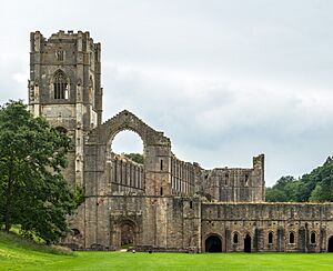Fountains Abbey crop, Yorkshire, UK - Diliff