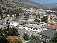 Gjirokaster, view from street to castle 1