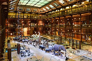Great gallery of evolution, Paris 1 July 2015