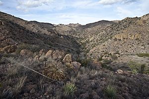 Guadalupe Canyon WSA (9461161500)