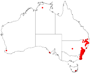 Hakea dactyloidesDistMap35.png