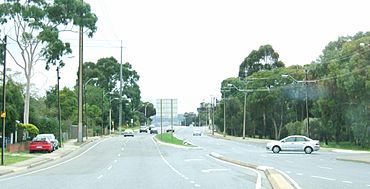 Holden hill.jpg
