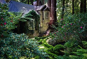 House amongst redwood trees, Cascade Canyon