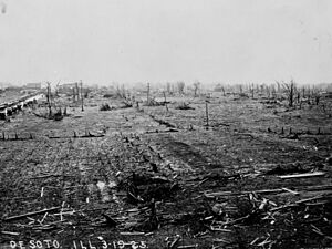 Illinois - Desoto - NARA - 23939847 (cropped)