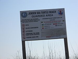 Jensen Sea Turtle Beach 012