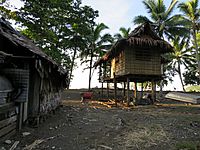 Kirakira Local Dwellings
