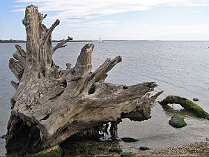 Lake King,from Shaving Point, Metung, Vic