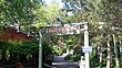 Logger's Run (Six Flags Great America) 1