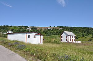 LowerIslandCoveNL ShanoLeShaneProperty