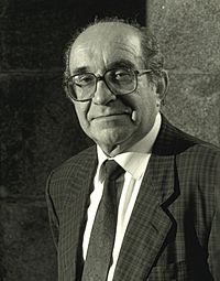 Luciano García Alén