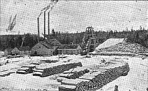 Mansfield MI c1911