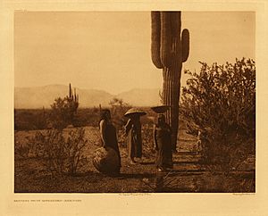 Maricopa saguaro