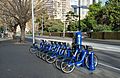 Row of blue rental bicycles