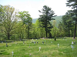 Mount Pisgah Benevolence Cemetery Romney WV 2010 04 25 09