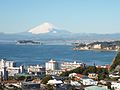Mt. Fuji from Hiroyama Ｐａｒｋ (Zushi)